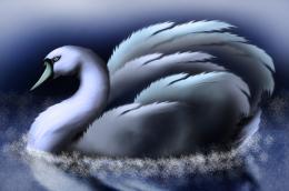 Blue swan